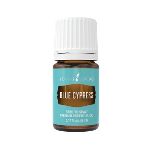 Cyprys niebieski (Blue Cypress)
 SHARE  5 ml.

Olejek Blue Cypress ma świeży zapach z nutami cytrusów i cedru. Ten pochodzący z Australii kobaltowo-niebieski olejek eteryczny był tradycyjnie stosowany do nawilżania suchej skóry, jako składnik perfum, a nawet jako klej.
 
 Sposób użycia
Masaż: Nanieś 2-4 krople bezpośrednio na wybraną część ciała lub połącz z Young Living V-6® Enhanced Vegetable Oil Complex i wykonaj przywracający siły masaż.

Pielęgnacja: Dodaj kroplę do ulubionego produktu do oczyszczania twarzy, aby cieszyć się cudownie nawilżoną i odżywioną skórą.

Perfumy: Nanieś na szyję i punkty wyczuwania pulsu zanim wyruszysz na jesienną wycieczkę na łono natury.

Środki ostrożności: Przechowuj poza zasięgiem dzieci. Wyłącznie do użytku zewnętrznego. Unikaj kontaktu z oczami i błonami śluzowymi. W przypadku ciąży, karmienia piersią, przyjmowania leków lub choroby, przed użyciem skonsultuj się z lekarzem.

Składniki
Olejek z drewna cyprysa niebieskiego (Callitris intratropica)*