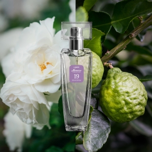 Woda perfumowana nr 19, 50 ml
 
 Wytworny, elegancki, czarodziejski zapach, w którym zmysłowe ciepło białego piżma i kolendry nawleczone jest na jasną falę odcieni białej piwonii i zielonej kawy. Dla kobiety subtelnej, kochającej luksus.

 Rodzina zapachów: kwiatowo-pudrowe 

Nuty głowy: nuty zieleni, pomarańcza bergamota, kolendra
Nuty serca: biała piwonia, kawa
Baza: białe piżmo, sandałowiec