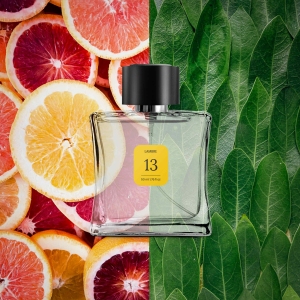 Woda toaletowa, 50 ml, nr 13

 Rodzina zapachów: owocowo-cytrusowe

Nuty głowy: grejpfrut, mandarynka, nuta morska
Nuty serca: jaśmin, liście laurowe
Nuty bazowe: gwajak, mech, paczula, szara ambra